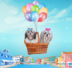 two shih tzus in a basket with balloons attached flying over a city
