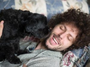 black shih tzu licking the face of a man with a beard