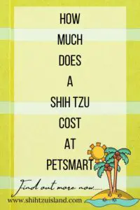 text pin for pinterest for shih tzu island - how much does a shih tzu cost at petsmart