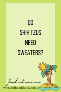 do shih tzus need sweaters - text pin for pinterest