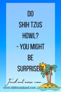 do shih tzus howl - text pin for pinterest