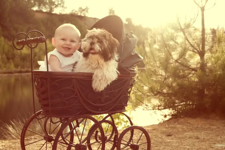 Baby girl and puppy are sitting in a vintage pram