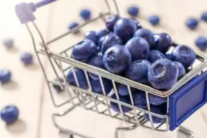 Selective focus on the front blueberry in trolley -Can Shih Tzus Eat Blueberries