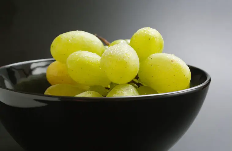 Fresh ripe bunch of grapes placed in black ceramic bowl close up on neutral gradient background