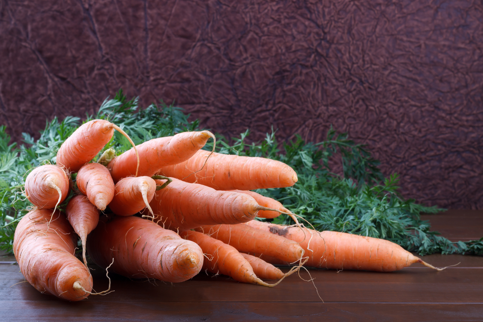 are carrots good for a shih tzu