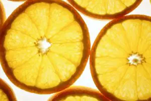 Close up of orange slices on white background - can shih tzus eat oranges