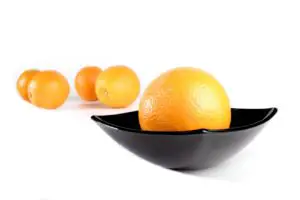 Studio shot of oranges on white background - can shih tzus eat oranges