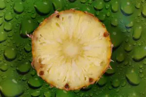 Brite tasty pineapple on green plate - can shih tzus eat pineapple