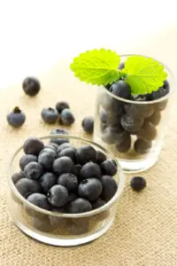 Blueberries in glass containers with lemon balm