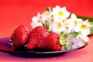 A plate of fresh strawberries with flower in the background - can shih tzus eat strawberries