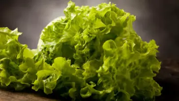 photo of fresh green lettuce on wooden table