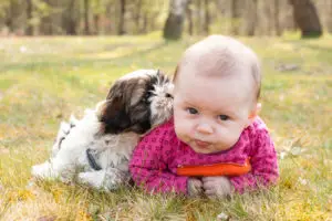 Cute baby and puppy are on the grass in nature