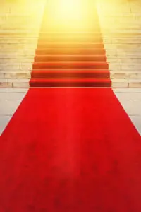On Red Carpet Concept for Vips and Celebrities