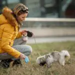 A pretty woman is picking up her pet's droppings with plastic bag