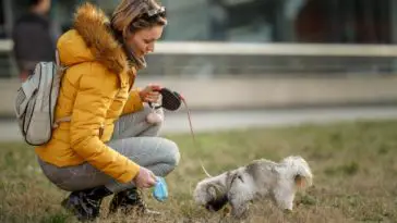 A pretty woman is picking up her pet's droppings with plastic bag