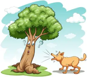 Dog barking the wrong tree on a white background