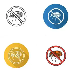 Stop fleas icon. Pest control.