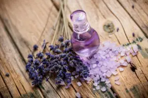 Lavender perfume in the bottle