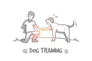 Hand drawn outdoor dog training process