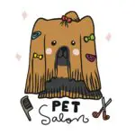 Pet salon beauty long hair Shih Tzu dog cartoon vector illustration