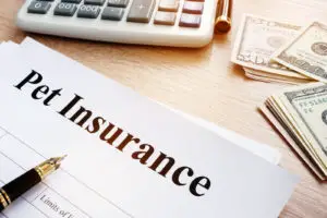 Pet Insurance policy in insurance agency. 